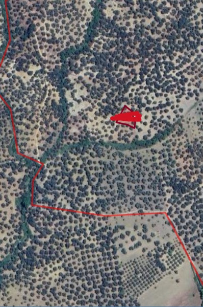 İlan fotoğrafları